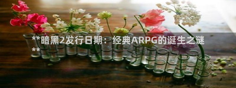九州国际创造奇迹登录最简单三个步骤：**暗黑2发行日期：经典ARPG的诞生之谜
**
